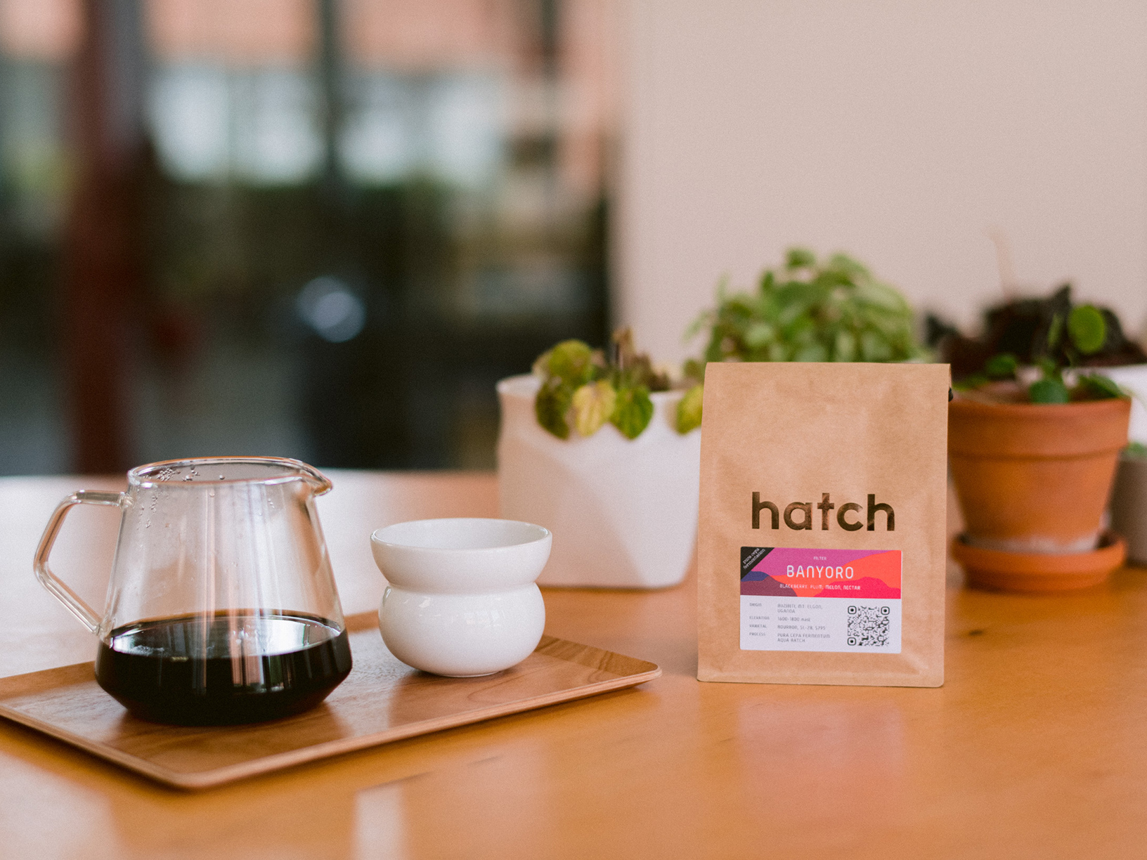 Hatch Coffee Roasters